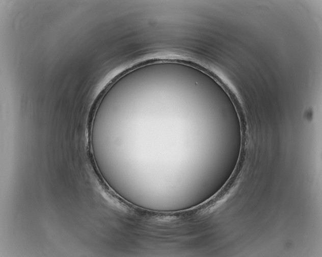 X0000089670837200706210751