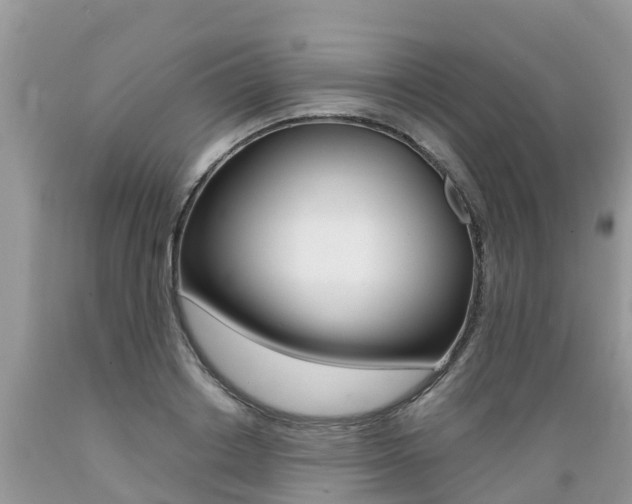 X0000089670842200706210751