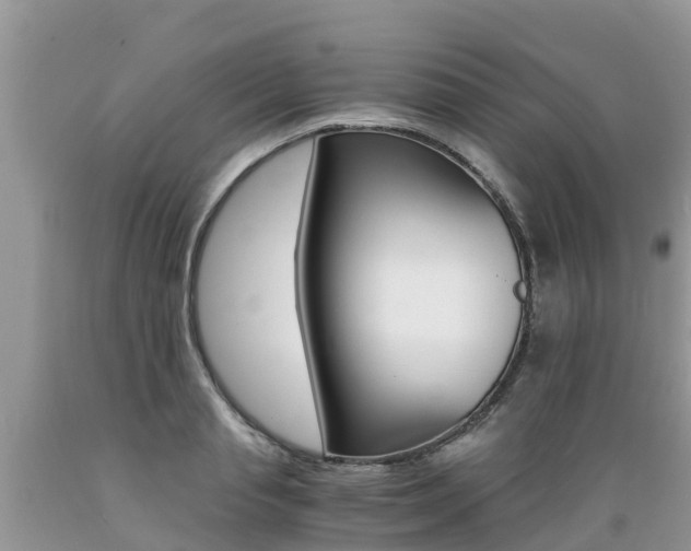 X0000089670845200706210751