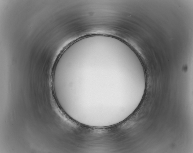X0000089670848200706210751