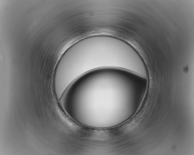 X0000089670850200706210751