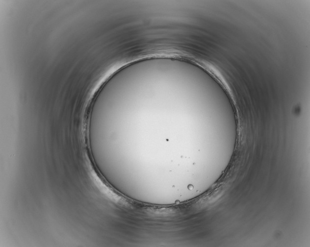 X0000089670851200706210752