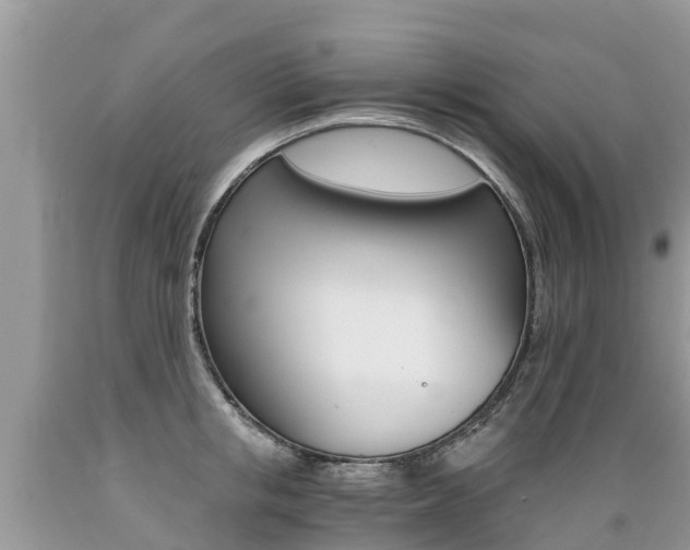 X0000089670853200706210752