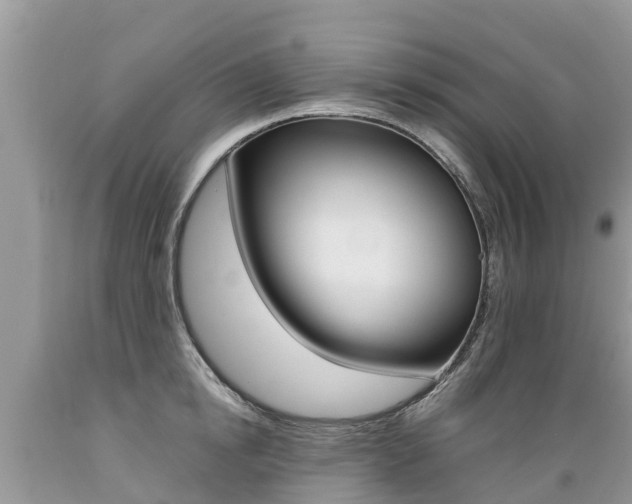 X0000089670854200706210752