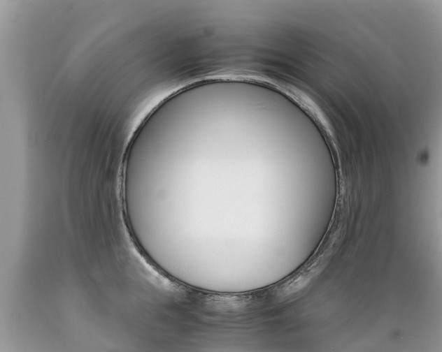 X0000089670855200706210752