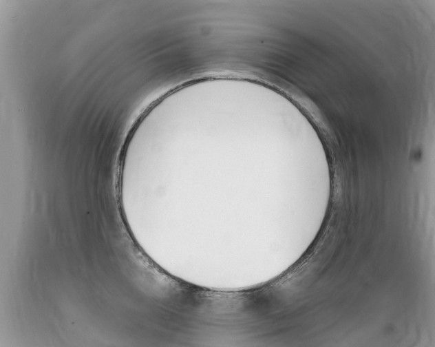 X0000089670856200706210752