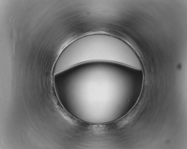 X0000089670858200706210752