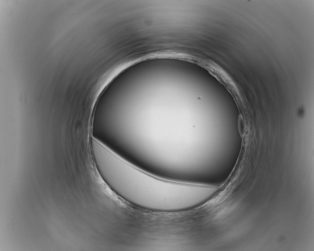 X0000089670860200706210752