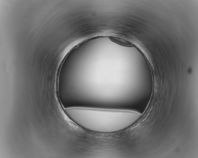 X0000089670861200706210752