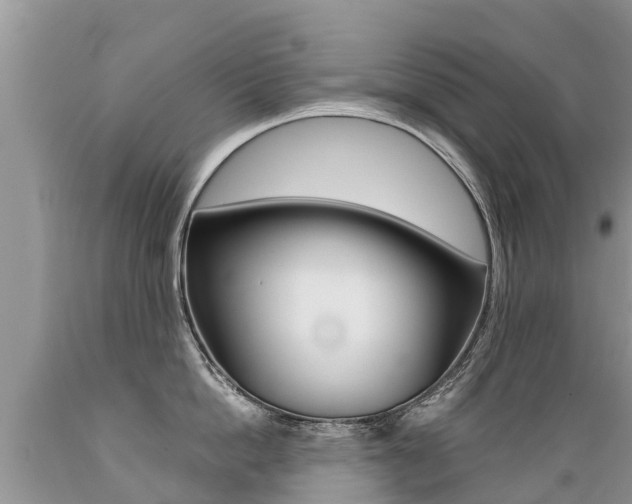 X0000089670862200706210752