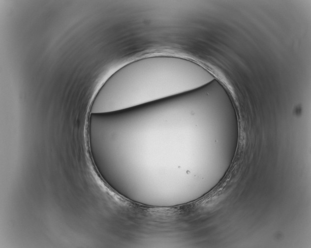 X0000089670863200706210752