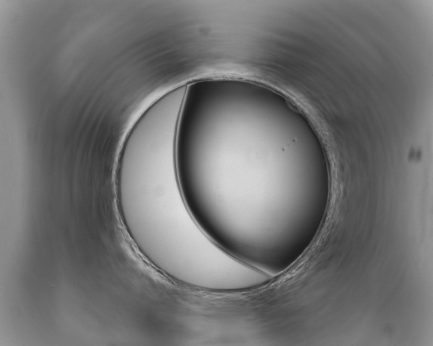 X0000089670864200706210752