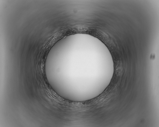 X0000089670866200706210751