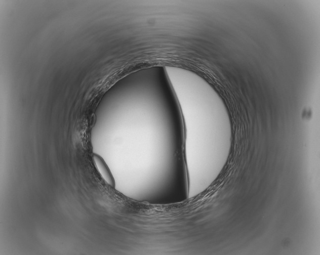 X0000089670867200706210751