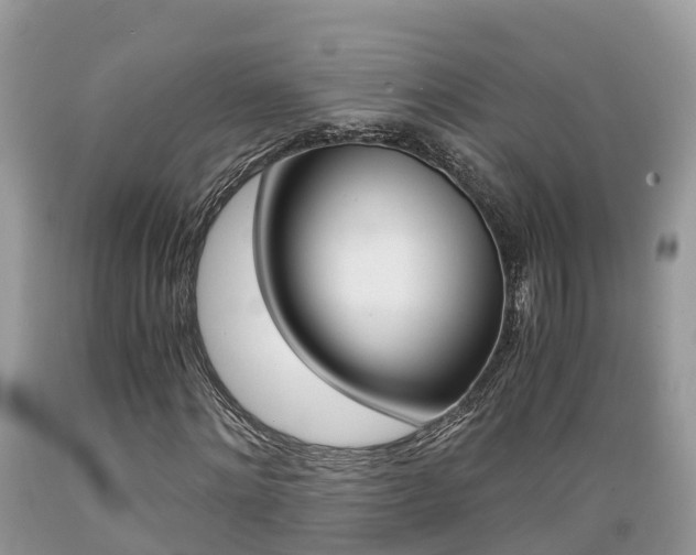 X0000089670868200706210751