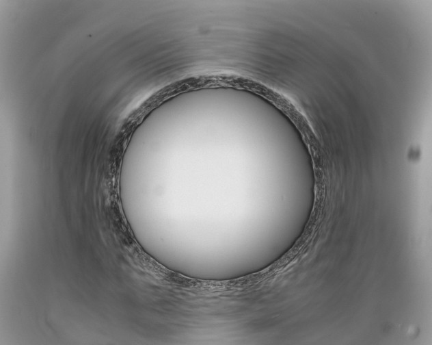 X0000089670871200706210751
