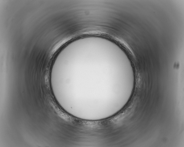 X0000089670874200706210751