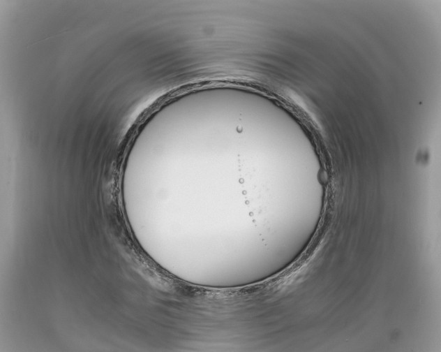 X0000089670875200706210751