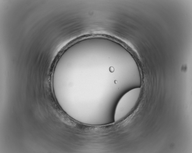 X0000089670879200706210751