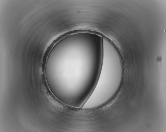X0000089670880200706210751