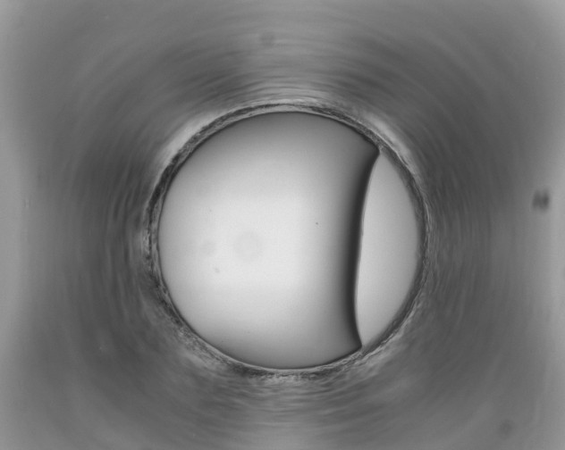 X0000089670883200706210751