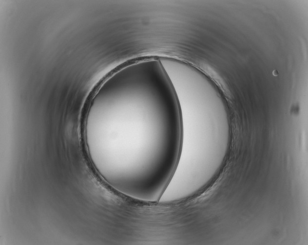 X0000089670884200706210751