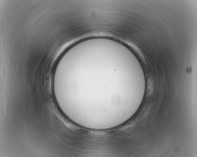 X0000089670886200706210751