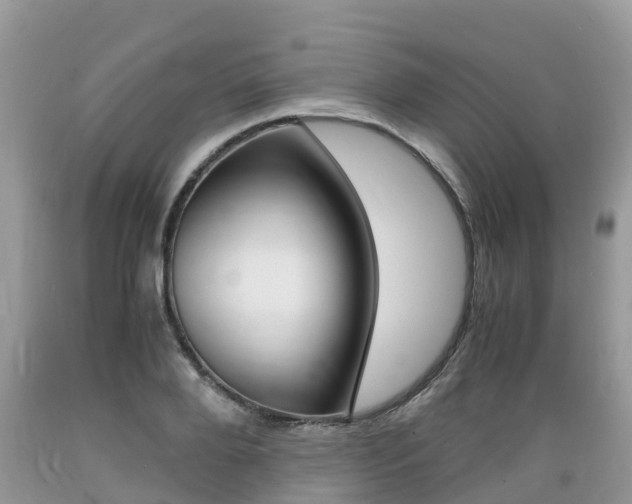 X0000089670888200706210751