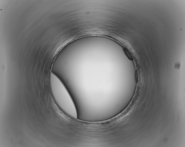 X0000089670889200706210751