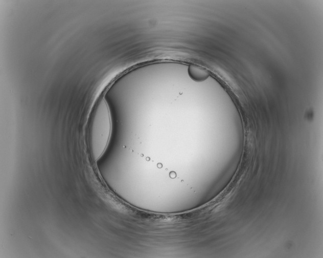 X0000089670891200706210751