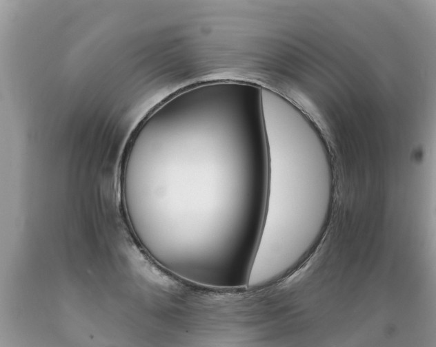 X0000089670892200706210750