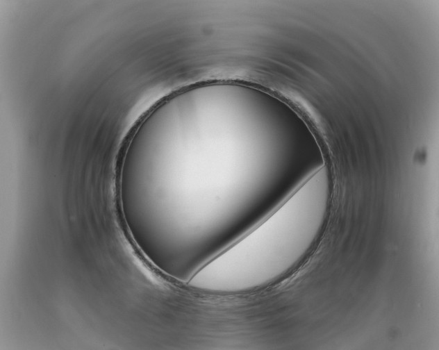 X0000089670894200706210750