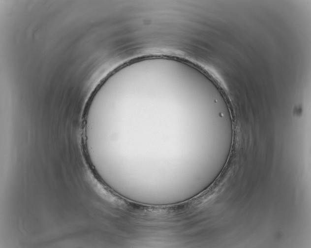 X0000089670895200706210750