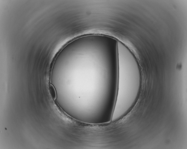 X0000089670896200706210750