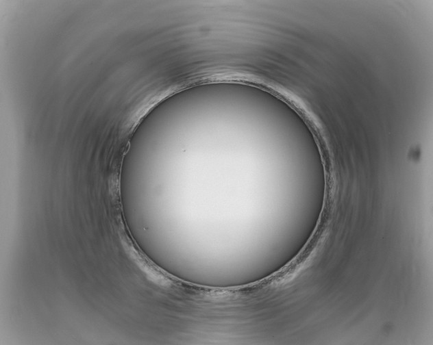 X0000089670897200706210750