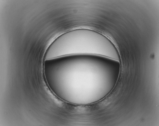 X0000089670898200706210750