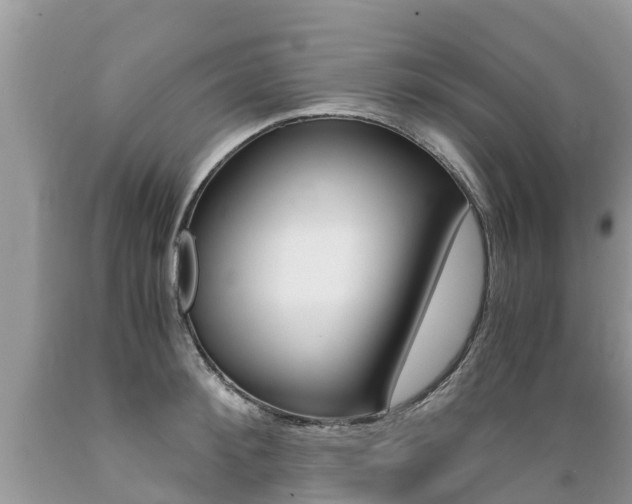 X0000089670900200706210750