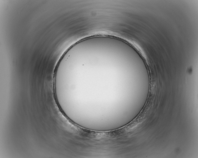 X0000089670903200706210750