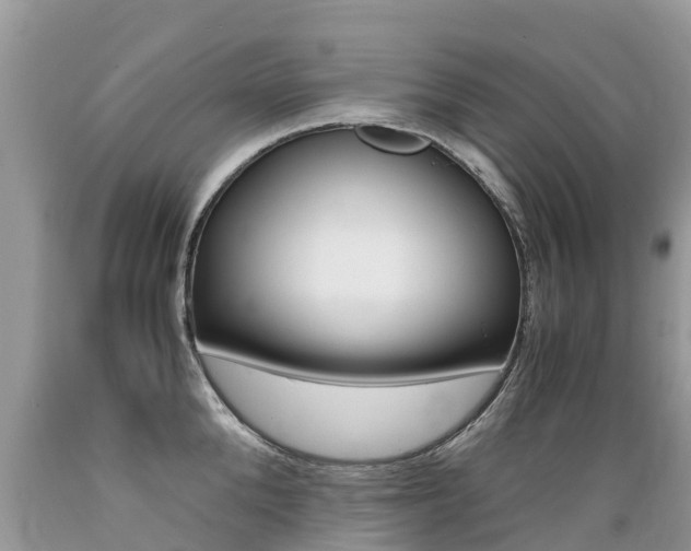 X0000089670904200706210750