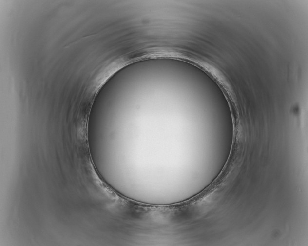 X0000089670905200706210750