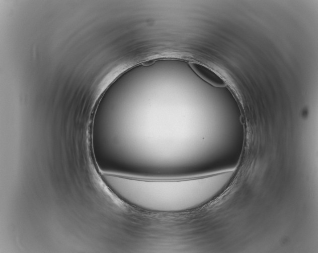 X0000089670906200706210750