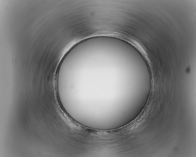 X0000089670907200706210750