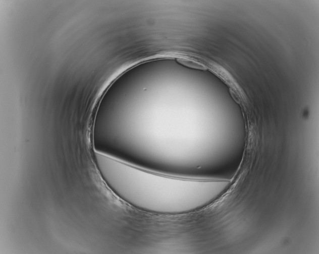 X0000089670908200706210750