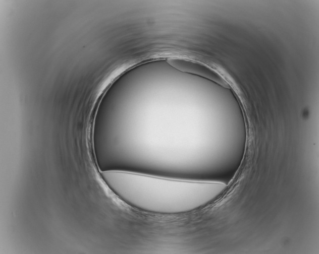 X0000089670909200706210750