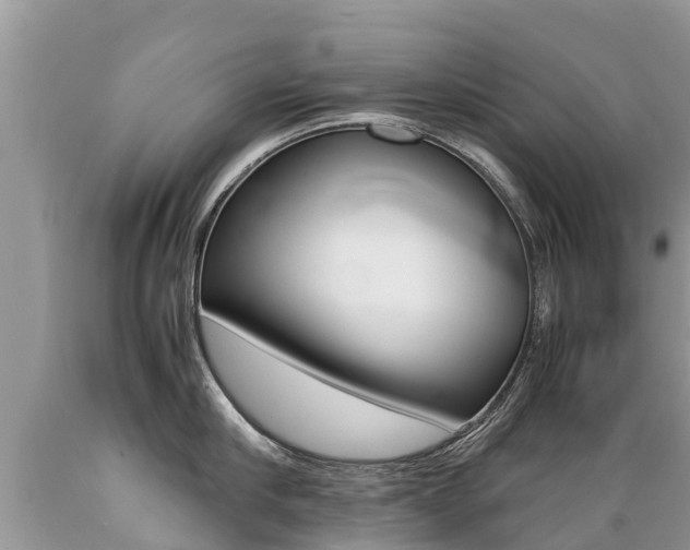 X0000089670910200706210750