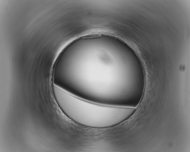 X0000089670912200706210750