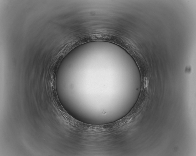 X0000089670915200706210749