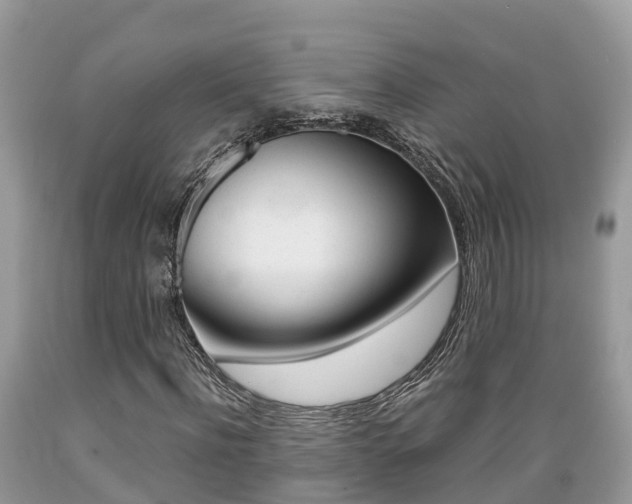 X0000089670916200706210749