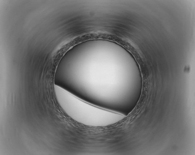 X0000089670919200706210749