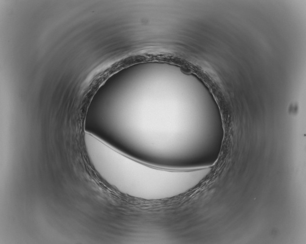 X0000089670920200706210749
